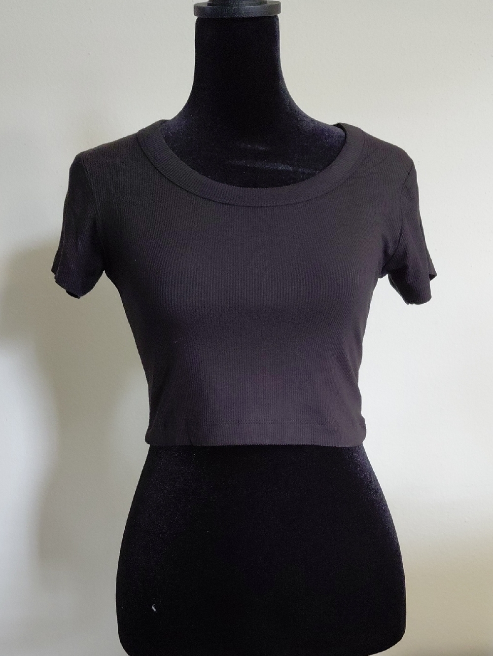 Zenana Outfitters Black Ribbed Crop Tee